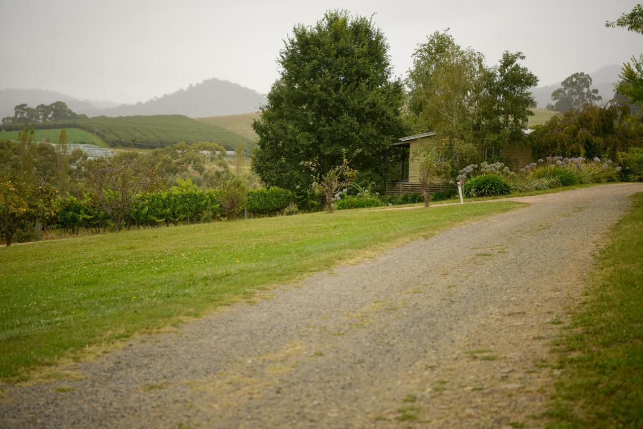 Borrodell Vineyard Hotell Orange Eksteriør bilde