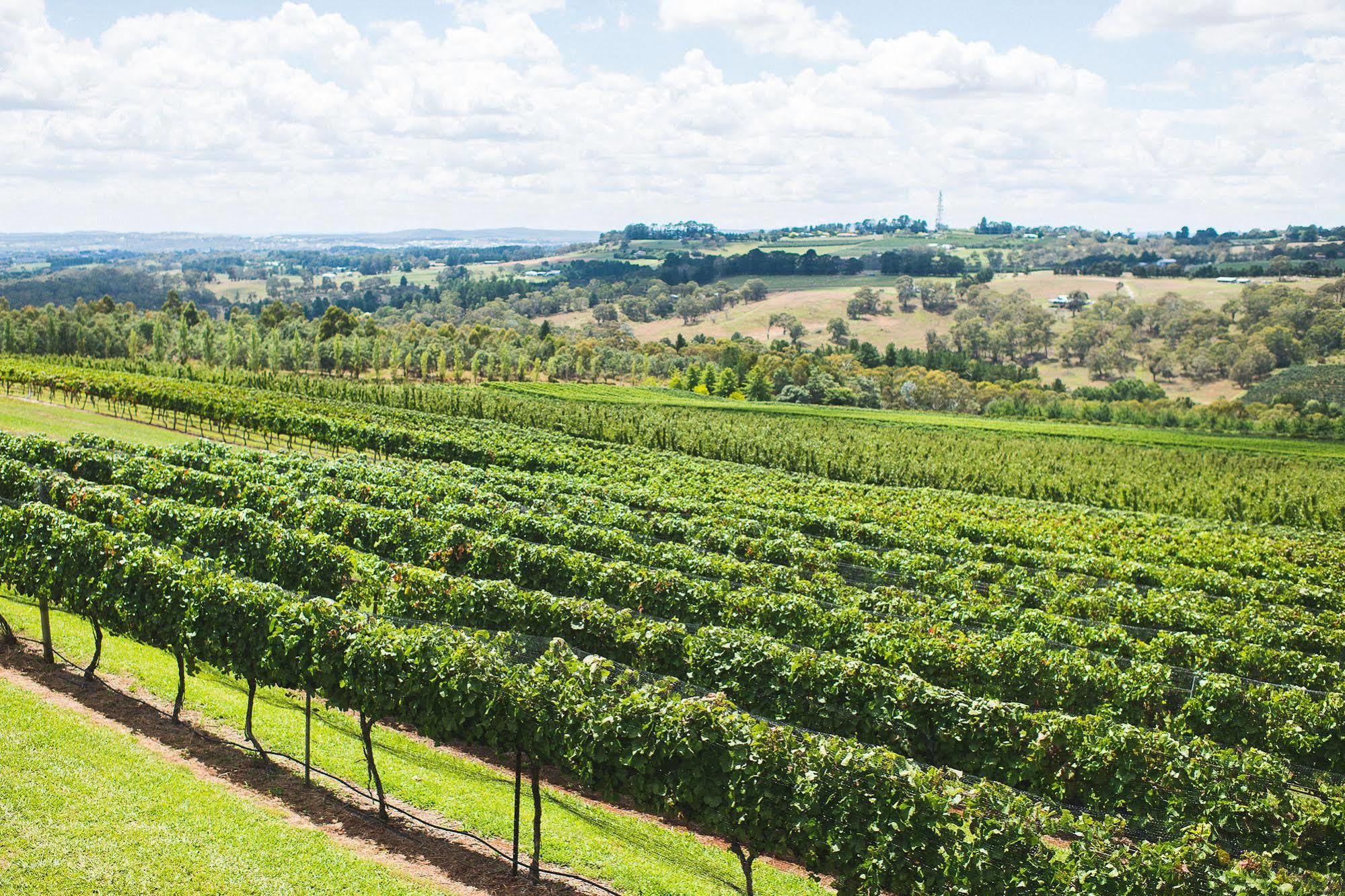 Borrodell Vineyard Hotell Orange Eksteriør bilde